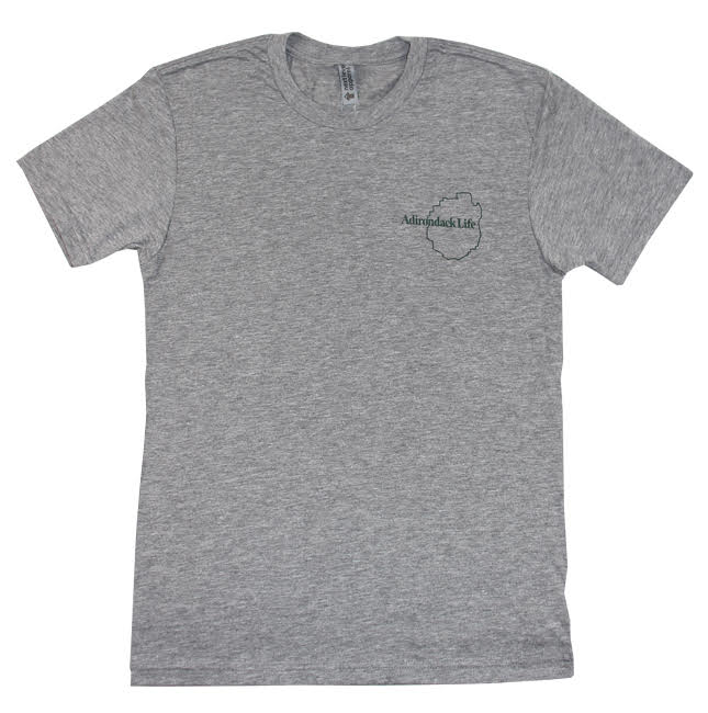 Gray Adirondack Park T-shirt
