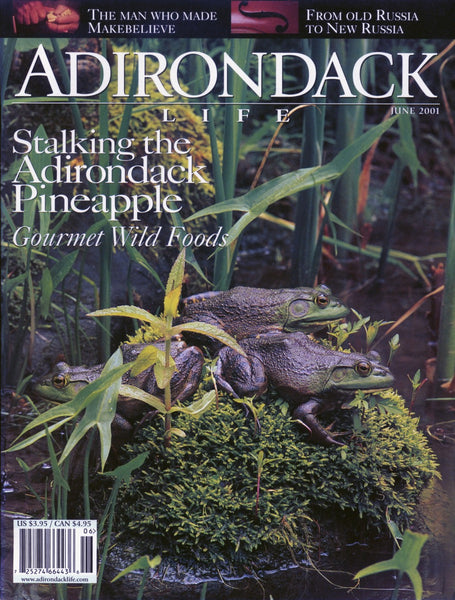 May/June 2001 issue - Arto Monaco