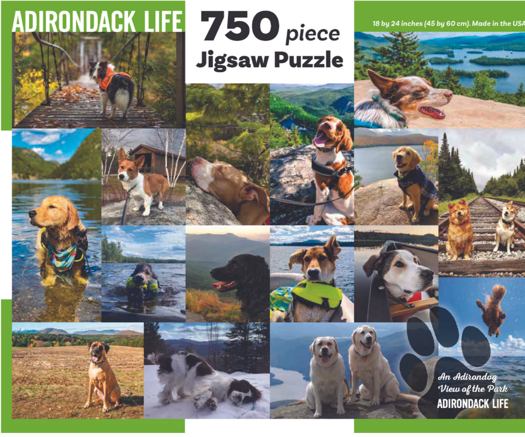 A Dog's Life' Jigsaw Puzzle