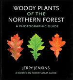 Woody Plants of the Northern Forest: A Photographic Guide